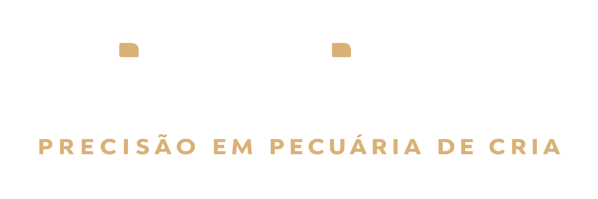 Direcione, Precisão em Pecuária de Cria