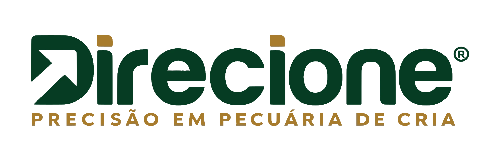 Direcione, Precisão em Pecuária de Cria
